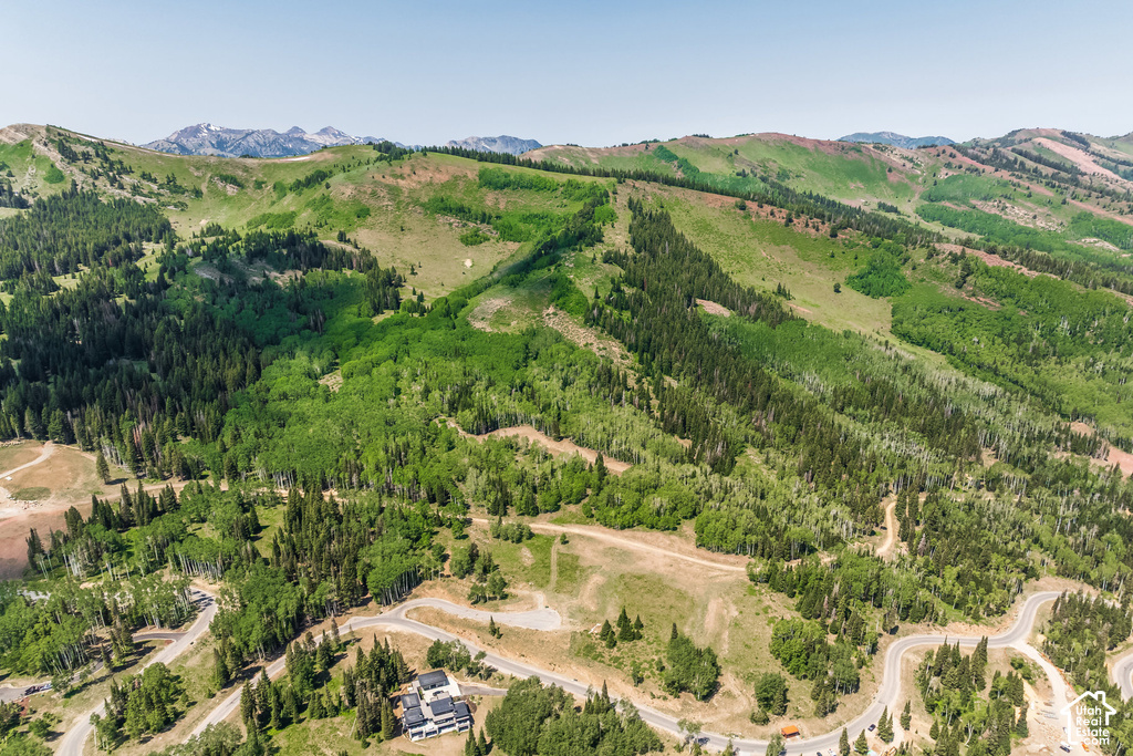 Expansive mountain landscape featuring varied tree coverage and winding roads
