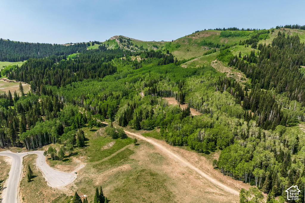 Expansive mountain landscape featuring dense evergreen forests and vibrant deciduous trees