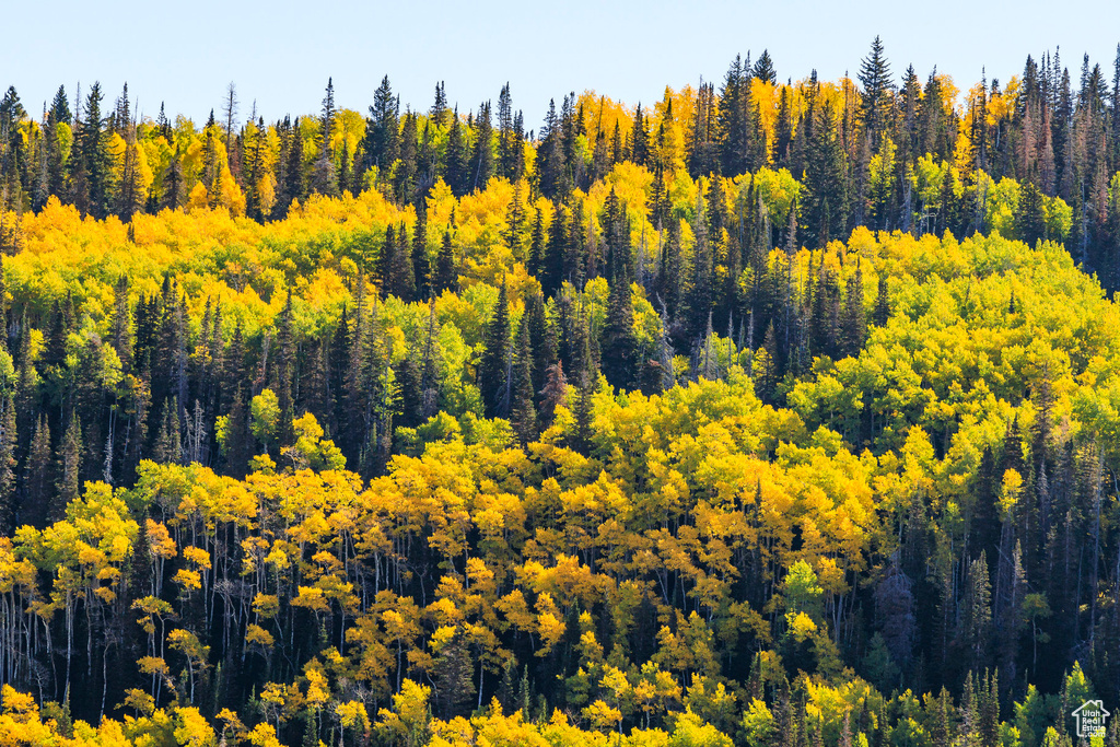 325  WHITE PINE CANYON RD Park City, UT 84060