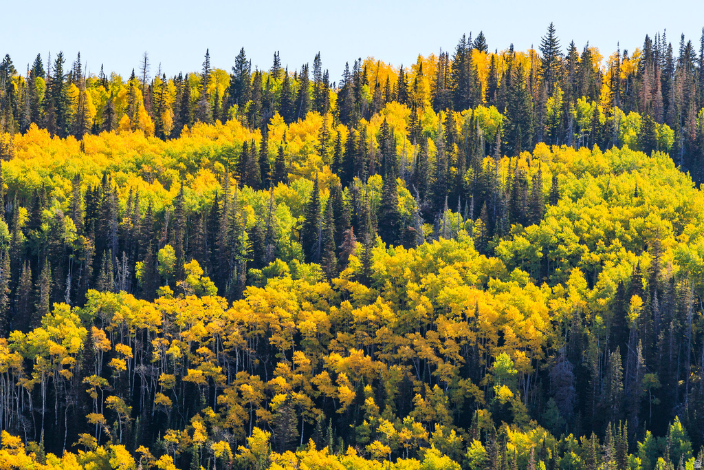 325  WHITE PINE CANYON RD Park City, UT 84060