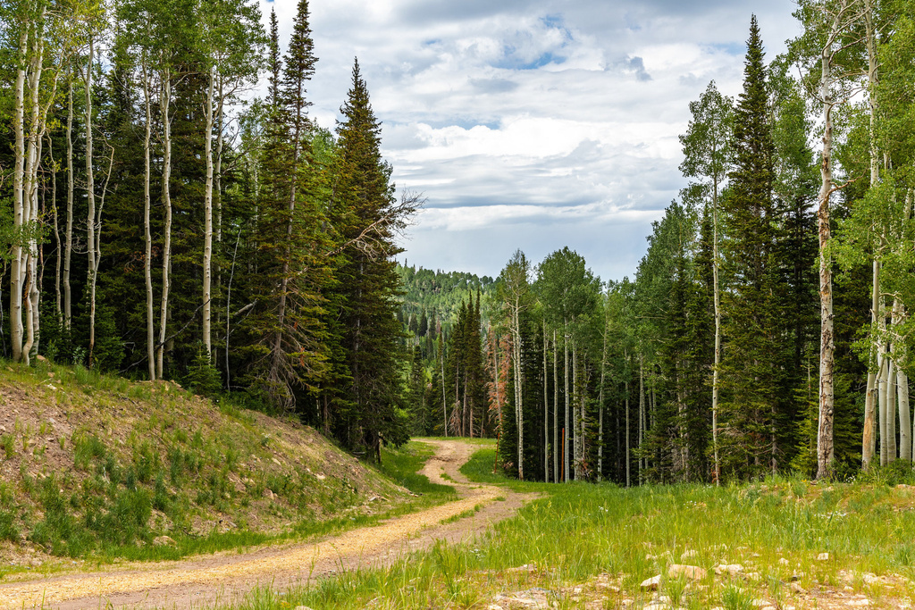 325  WHITE PINE CANYON RD Park City, UT 84060