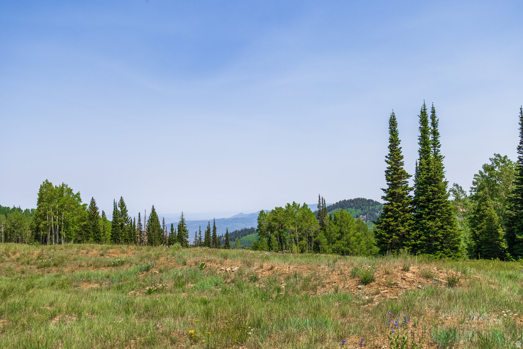 325  WHITE PINE CANYON RD Park City, UT 84060