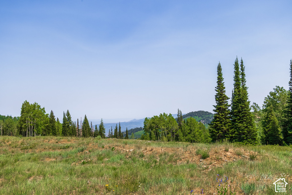 Expansive land parcel featuring natural grasses and distant mountain ranges