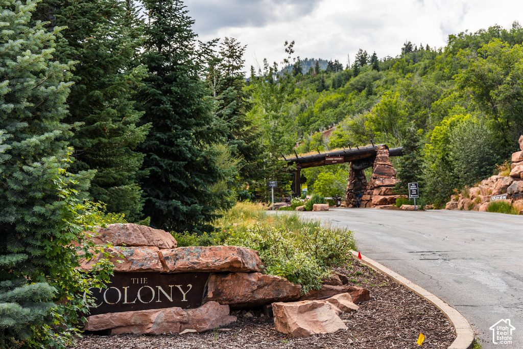 Stone entryway signage for "THE COLONY" surrounded by natural landscaping, mature evergreen trees, and a mountain backdrop