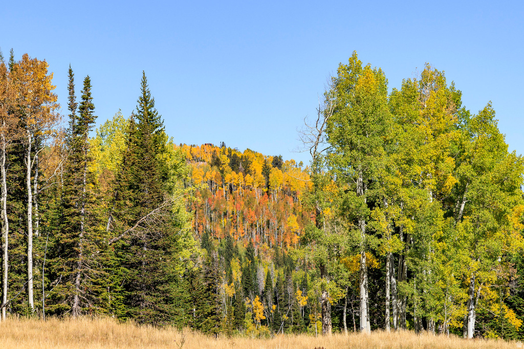 325  WHITE PINE CANYON RD Park City, UT 84060