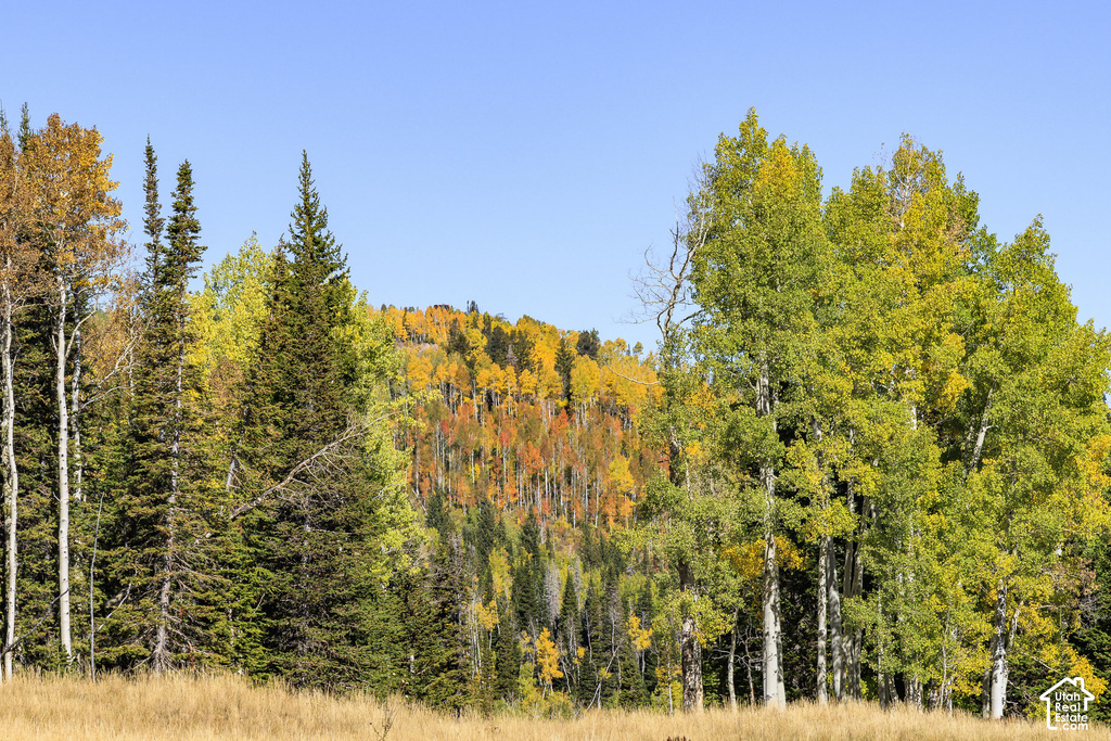 Expansive outdoor space featuring a clear sky and distant trees