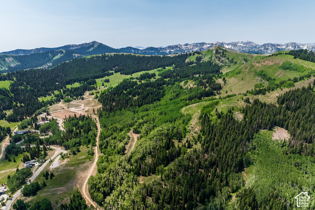 Expansive mountain terrain featuring diverse tree cover, visible roads, and distant snow-capped peaks