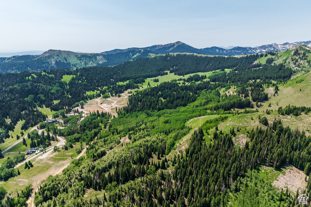325  WHITE PINE CANYON RD Park City, UT 84060