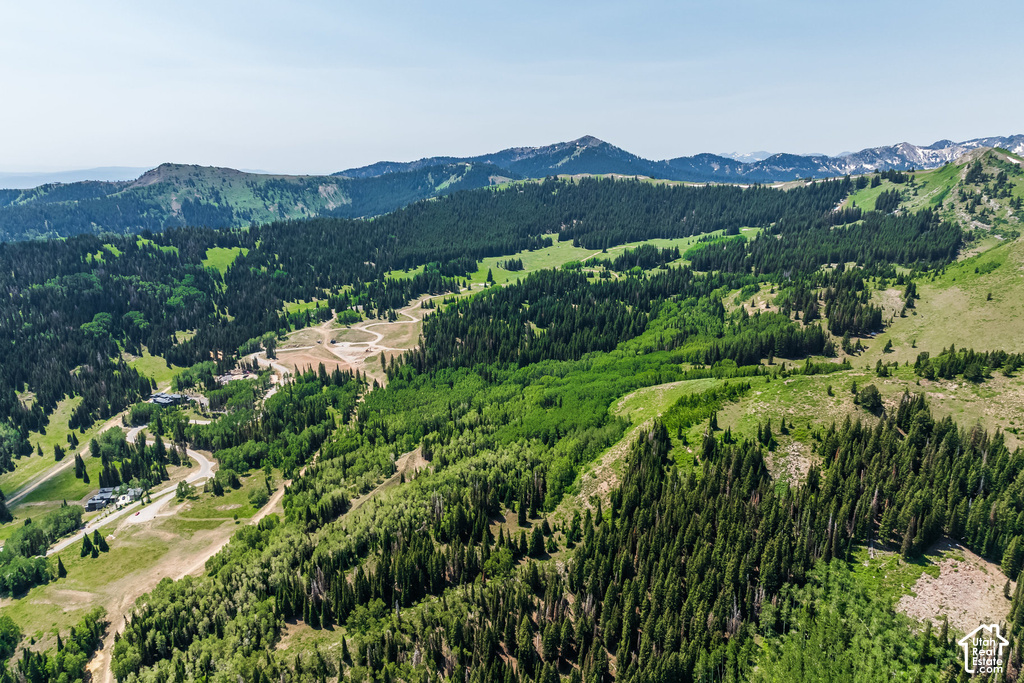 Expansive mountainous terrain featuring dense evergreen forests and varied deciduous tree coverage