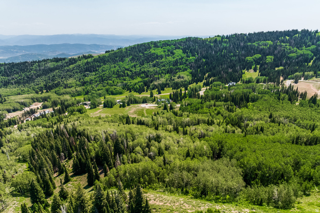 325  WHITE PINE CANYON RD Park City, UT 84060