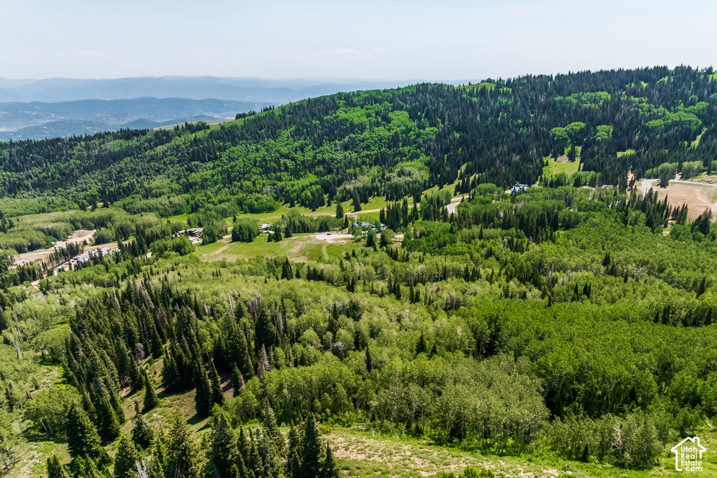 Expansive mountain landscape featuring dense evergreen and deciduous forests