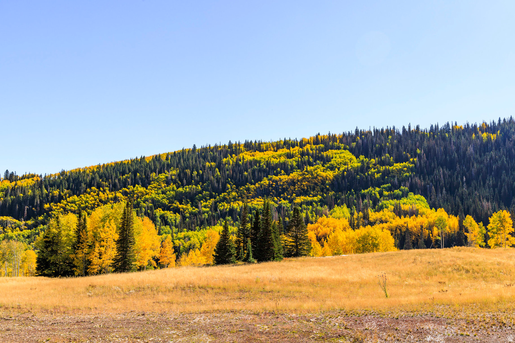 325  WHITE PINE CANYON RD Park City, UT 84060