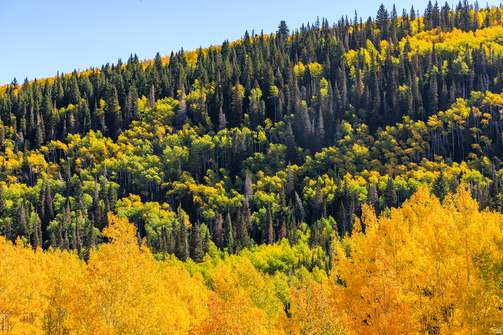 325  WHITE PINE CANYON RD Park City, UT 84060