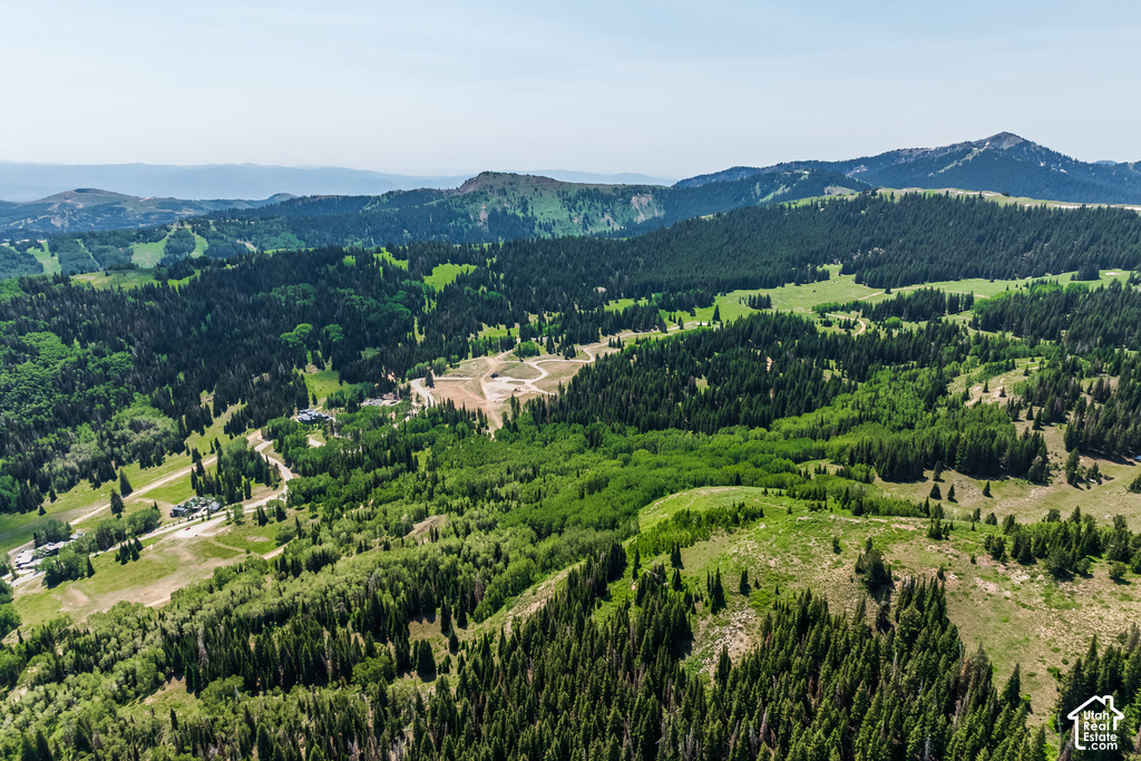 Expansive mountain landscape featuring dense evergreen forests and verdant open meadows