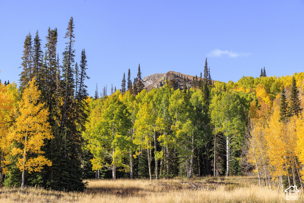 Mountainous landscape featuring a mix of evergreen and deciduous trees