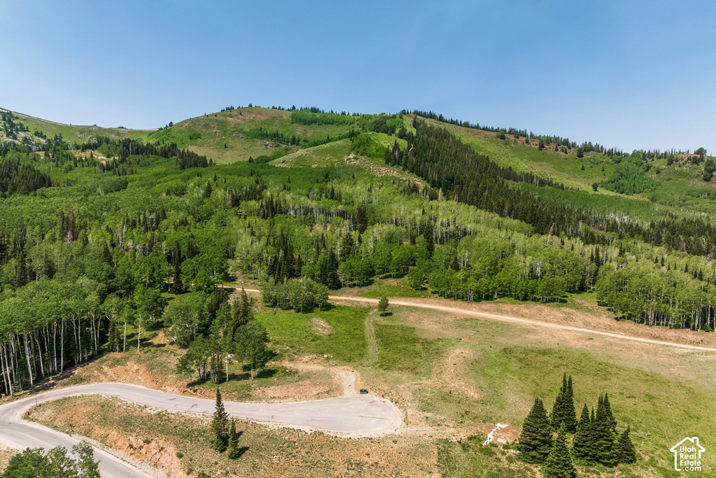 Hillside property featuring dense evergreen and deciduous trees, a winding paved road, and a gravel pathway