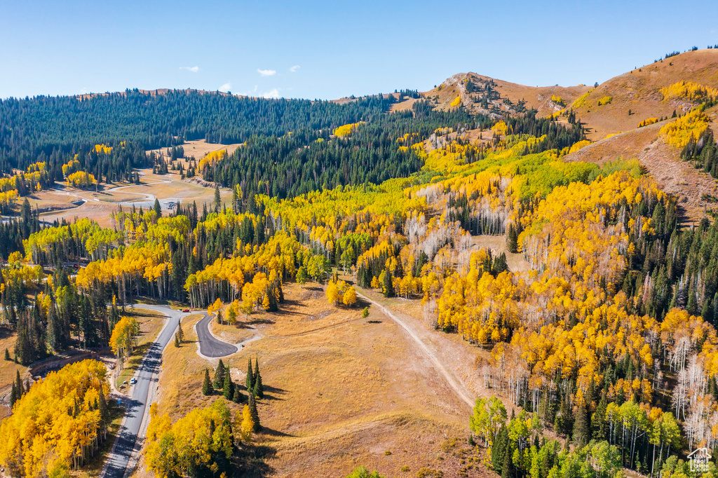 325  WHITE PINE CANYON RD Park City, UT 84060