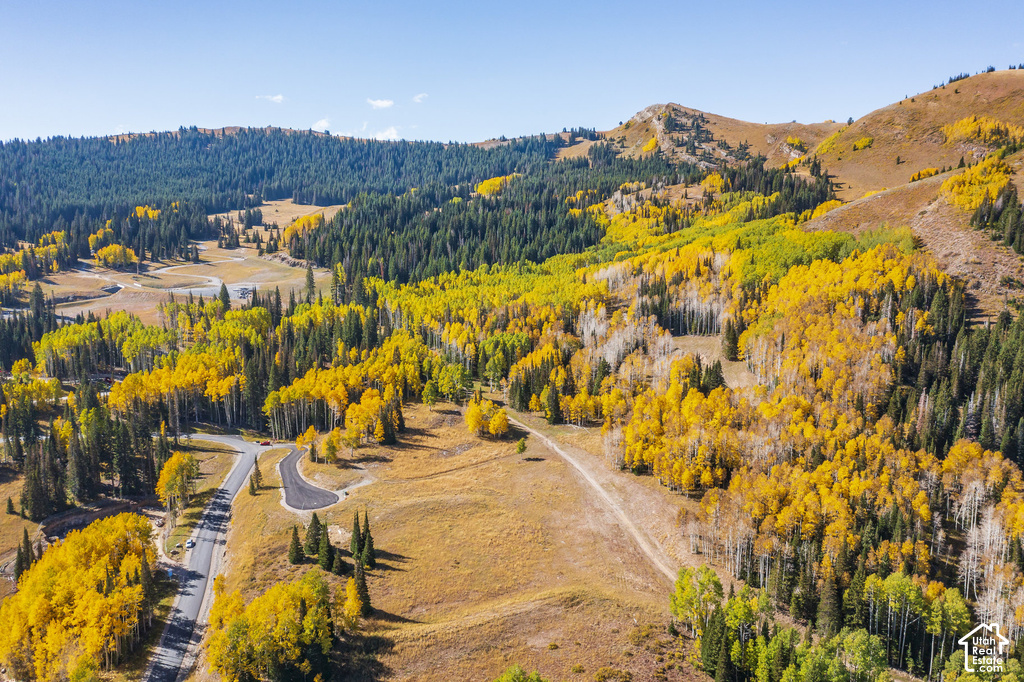 Expansive mountain landscape featuring dense evergreen forests and vibrant golden foliage