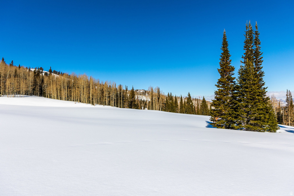 325  WHITE PINE CANYON RD Park City, UT 84060