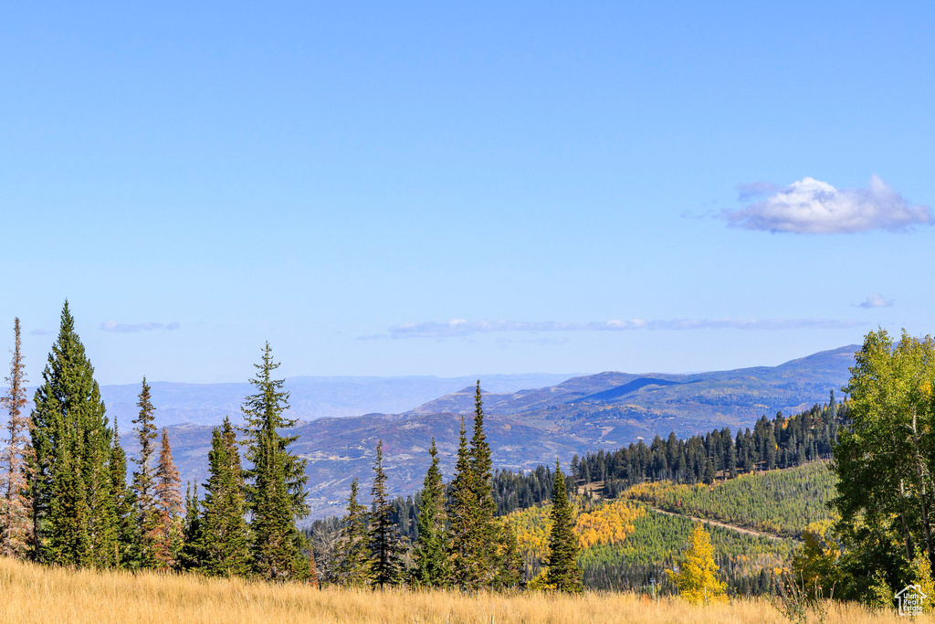 325  WHITE PINE CANYON RD Park City, UT 84060