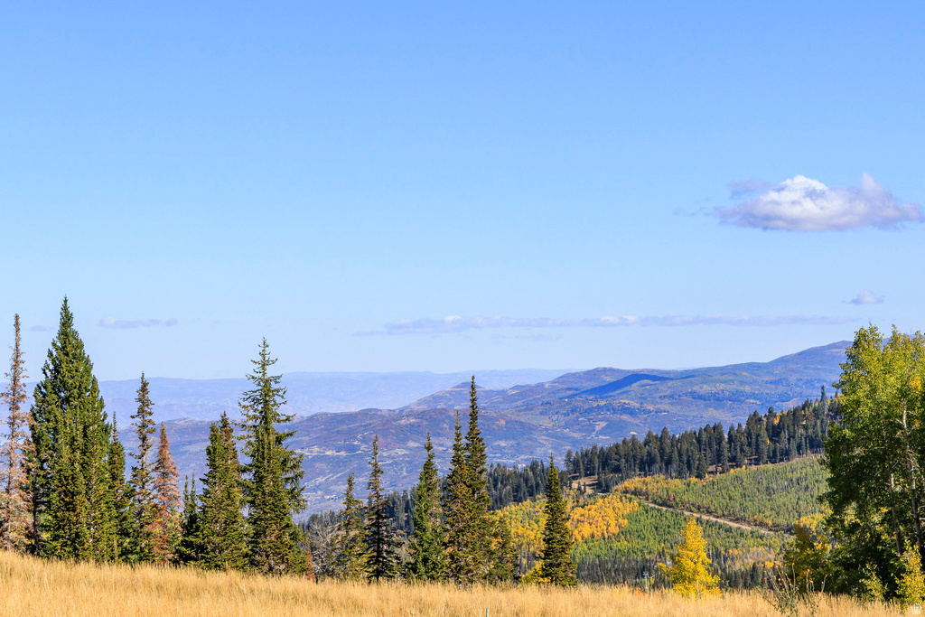 325  WHITE PINE CANYON RD Park City, UT 84060