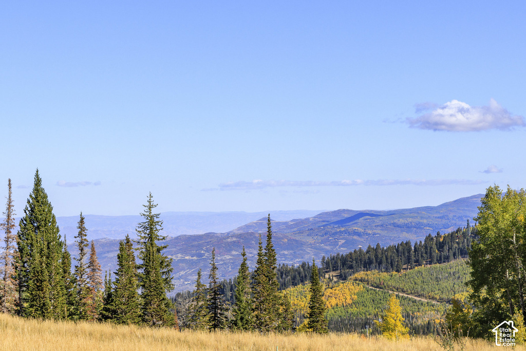 Expansive mountain scenery featuring a clear blue sky, distant mountain ranges, and dense tree lines with varied fall foliage