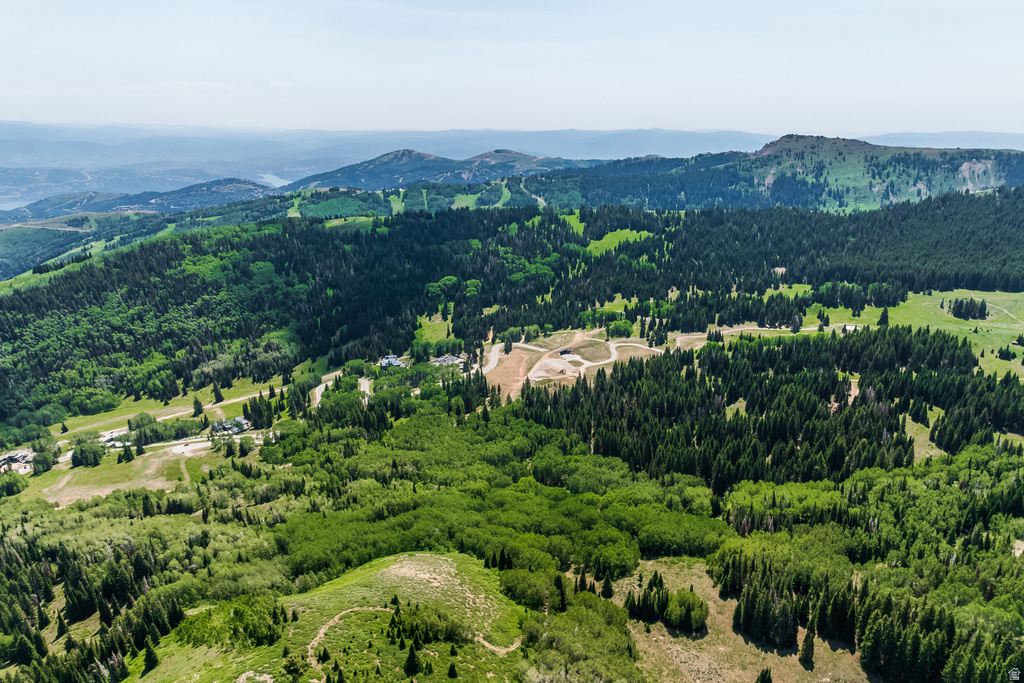 325  WHITE PINE CANYON RD Park City, UT 84060