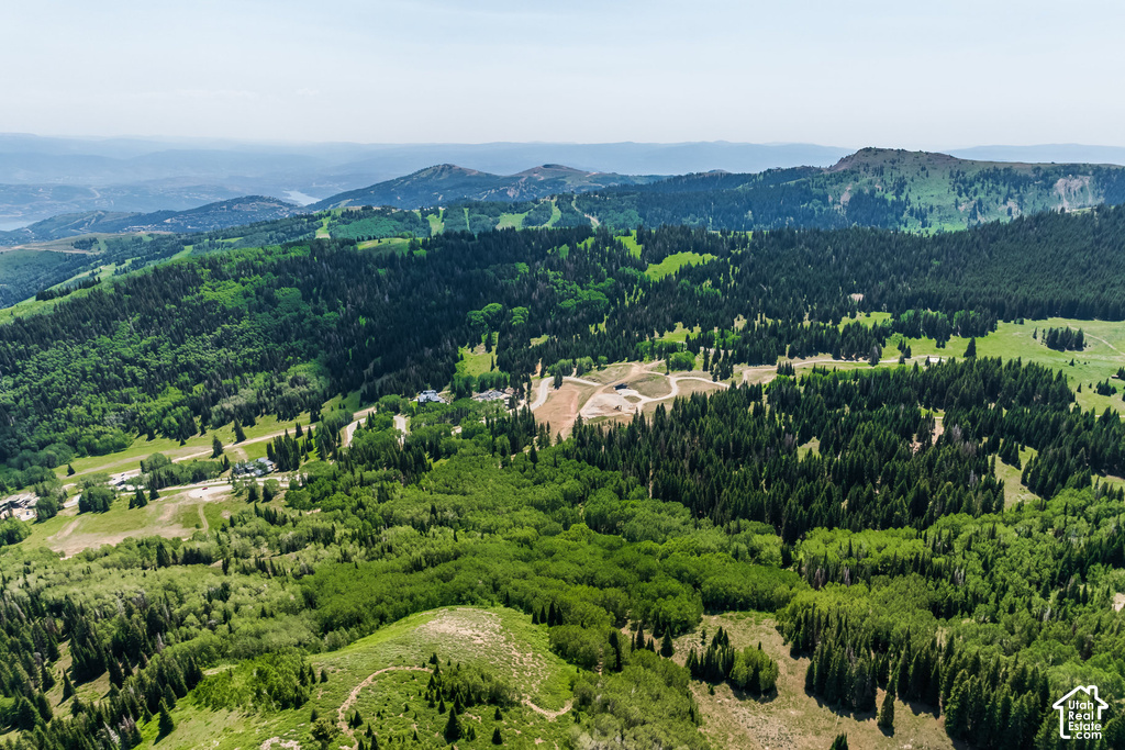 Expansive mountain landscape featuring dense evergreen and deciduous trees, rolling green hills, a distant body of water, and visible infrastructure including roads and scattered buildings