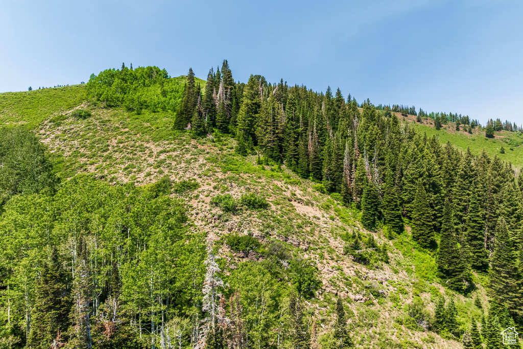 325  WHITE PINE CANYON RD Park City, UT 84060