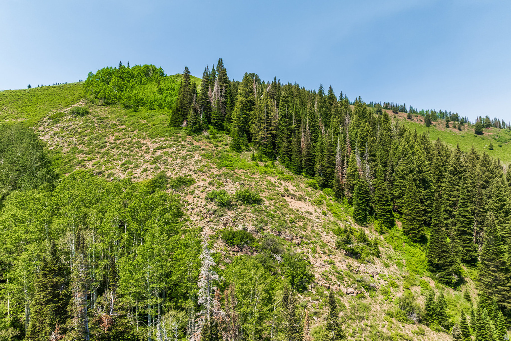 325  WHITE PINE CANYON RD Park City, UT 84060