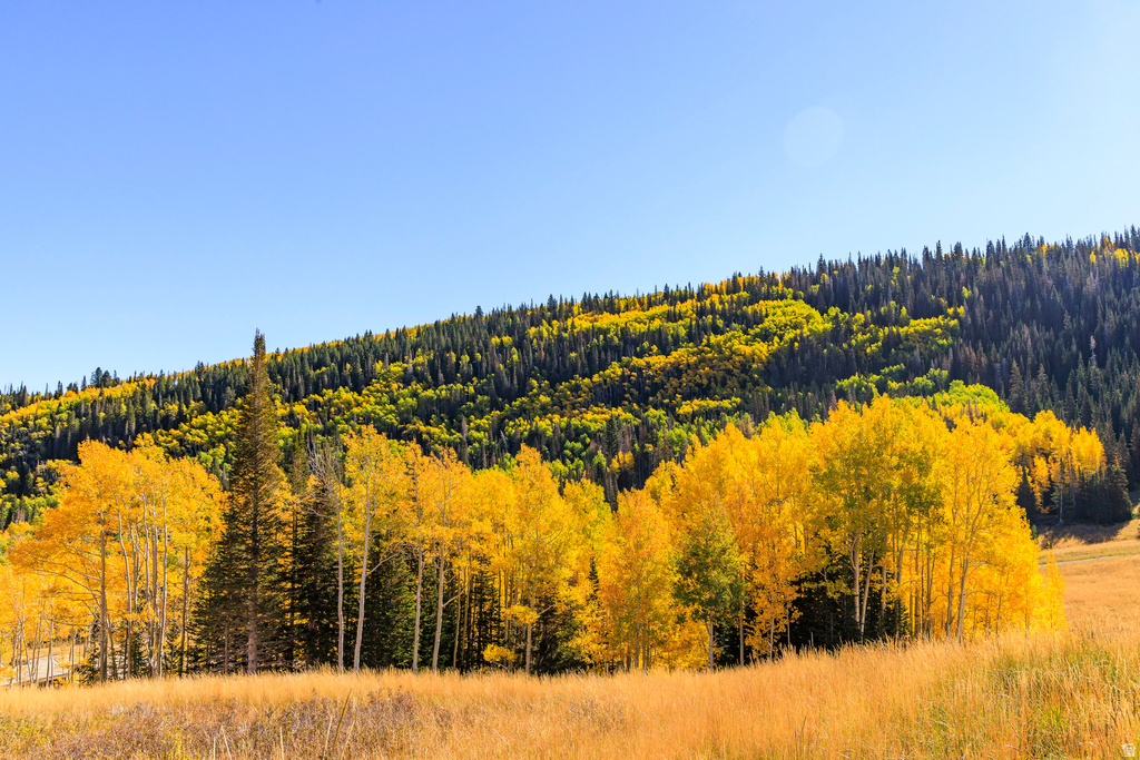 325  WHITE PINE CANYON RD Park City, UT 84060