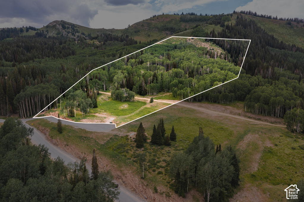 Mountainous landscape featuring a substantial forested parcel