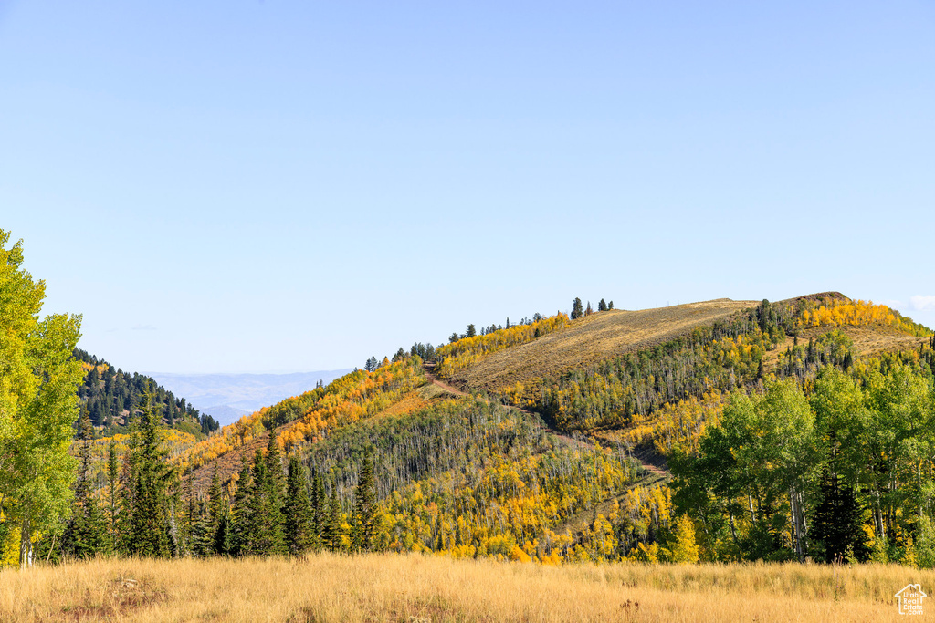 325  WHITE PINE CANYON RD Park City, UT 84060