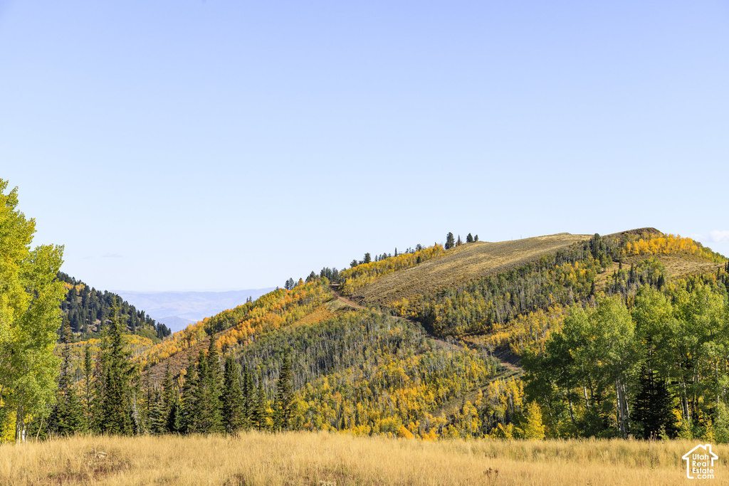 Mountainous terrain with natural landscaping, featuring golden foliage and evergreen trees