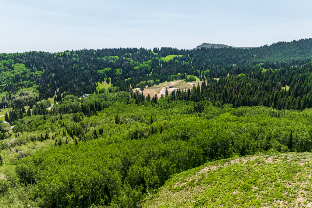 325  WHITE PINE CANYON RD Park City, UT 84060