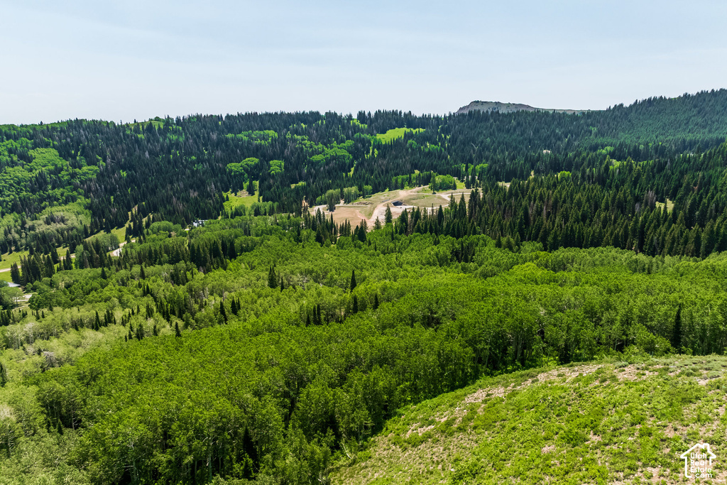 Expansive mountain landscape featuring dense evergreen and deciduous trees
