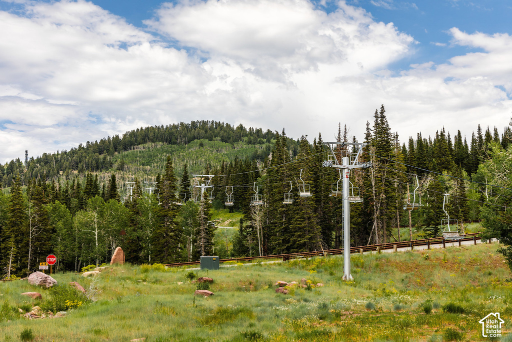 Mountain landscape featuring diverse tree cover, ski lift structures, a paved road, and natural rock formations