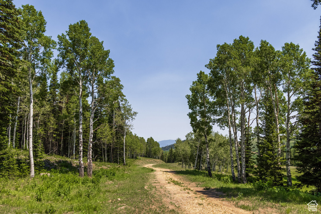 325  WHITE PINE CANYON RD Park City, UT 84060
