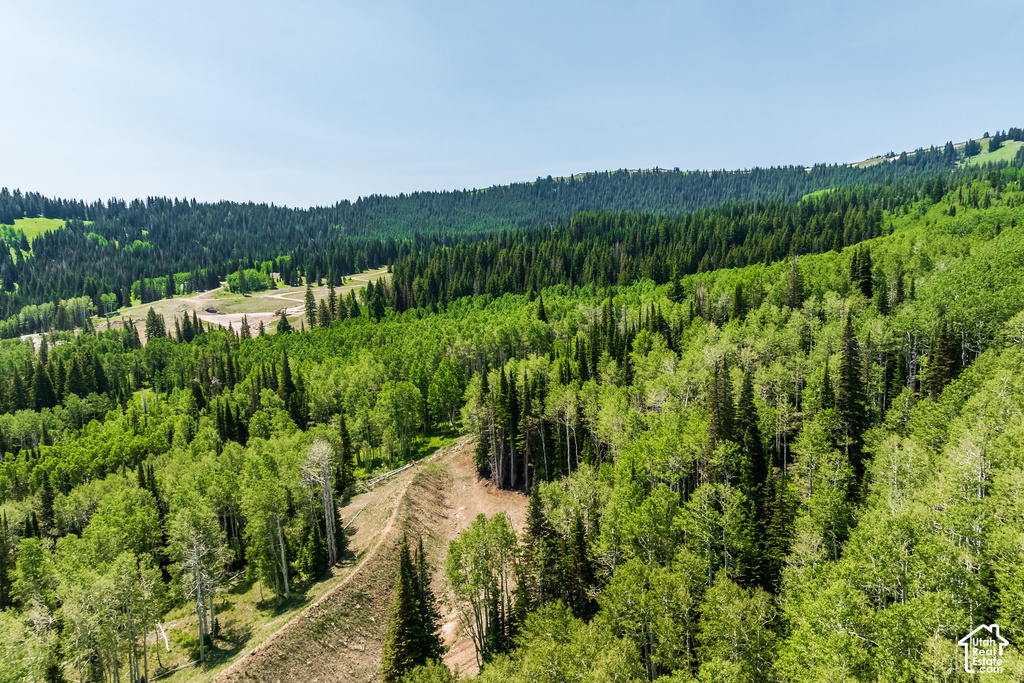 Expansive mountain landscape featuring dense evergreen forests and vibrant deciduous trees