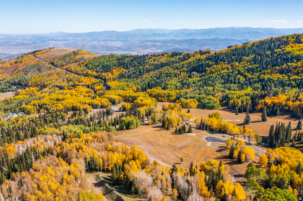 325  WHITE PINE CANYON RD Park City, UT 84060