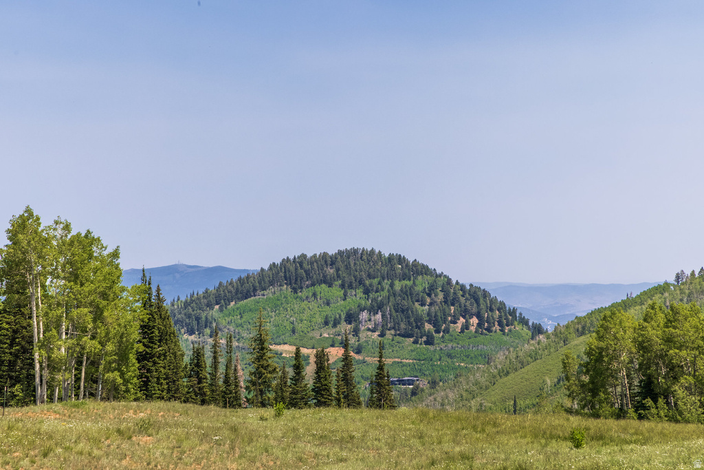 325  WHITE PINE CANYON RD Park City, UT 84060