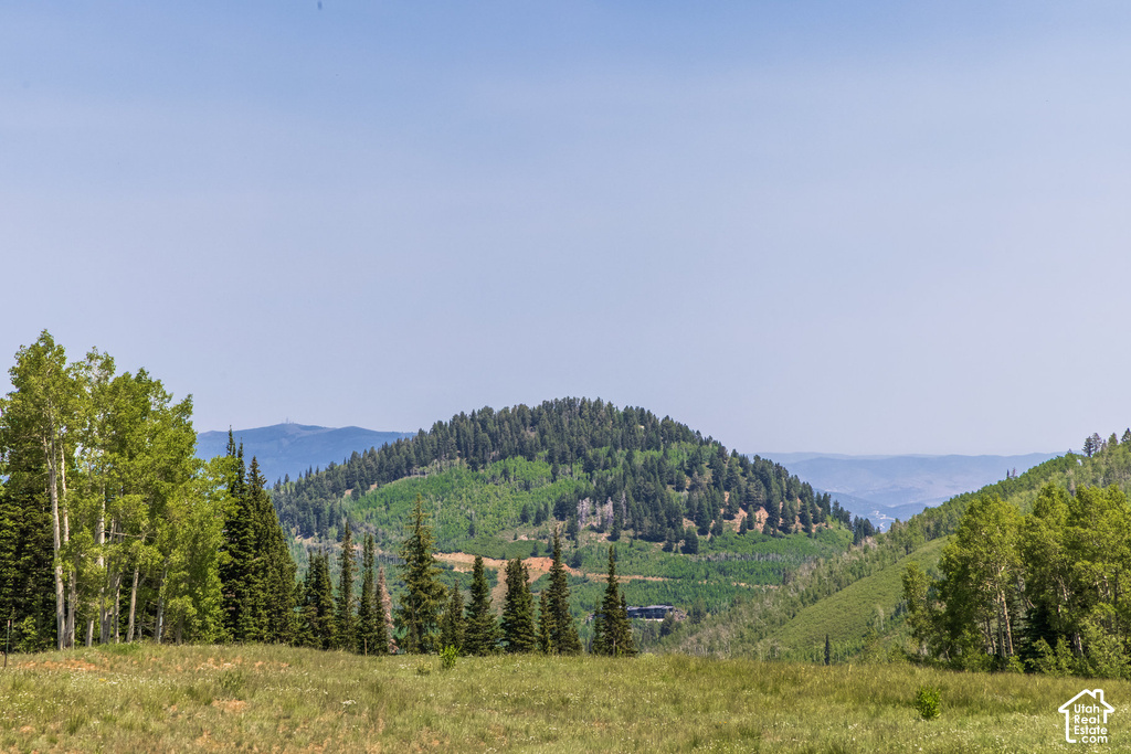 Expansive mountain landscape featuring a forested peak and a valley with distant hills
