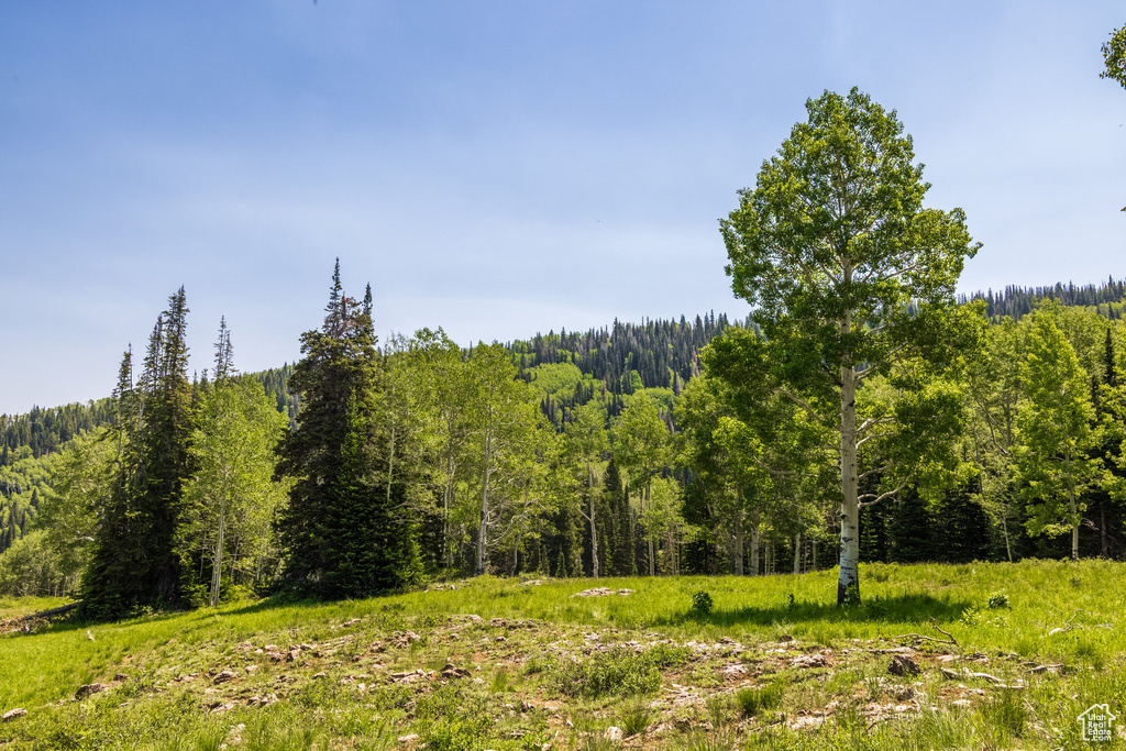 325  WHITE PINE CANYON RD Park City, UT 84060