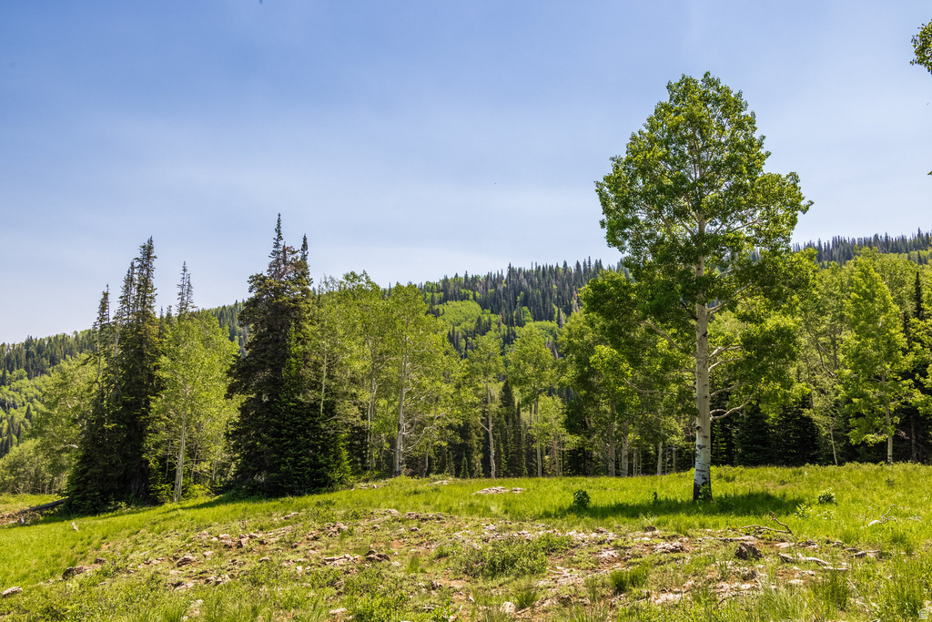 325  WHITE PINE CANYON RD Park City, UT 84060