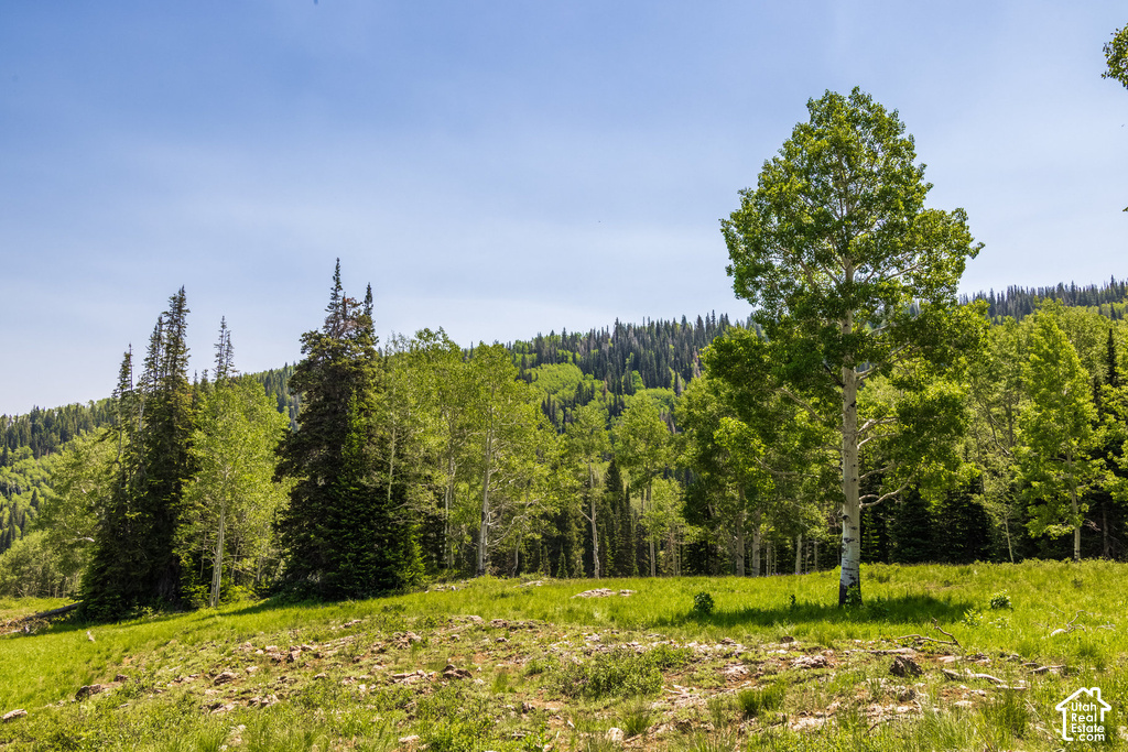 Rolling green terrain featuring scattered rock outcroppings
