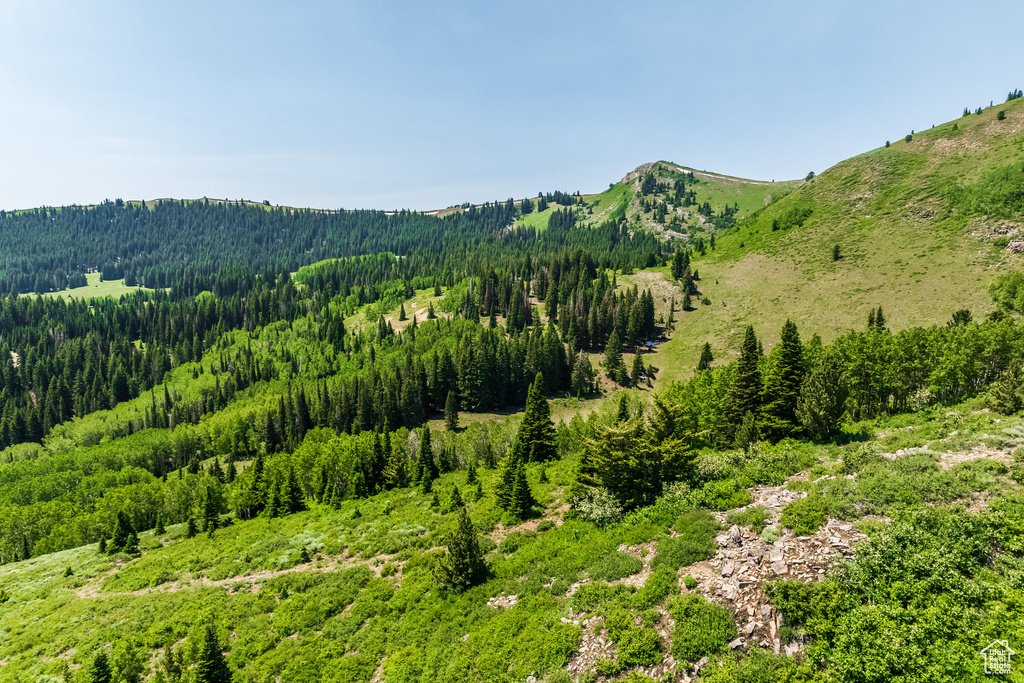 325  WHITE PINE CANYON RD Park City, UT 84060
