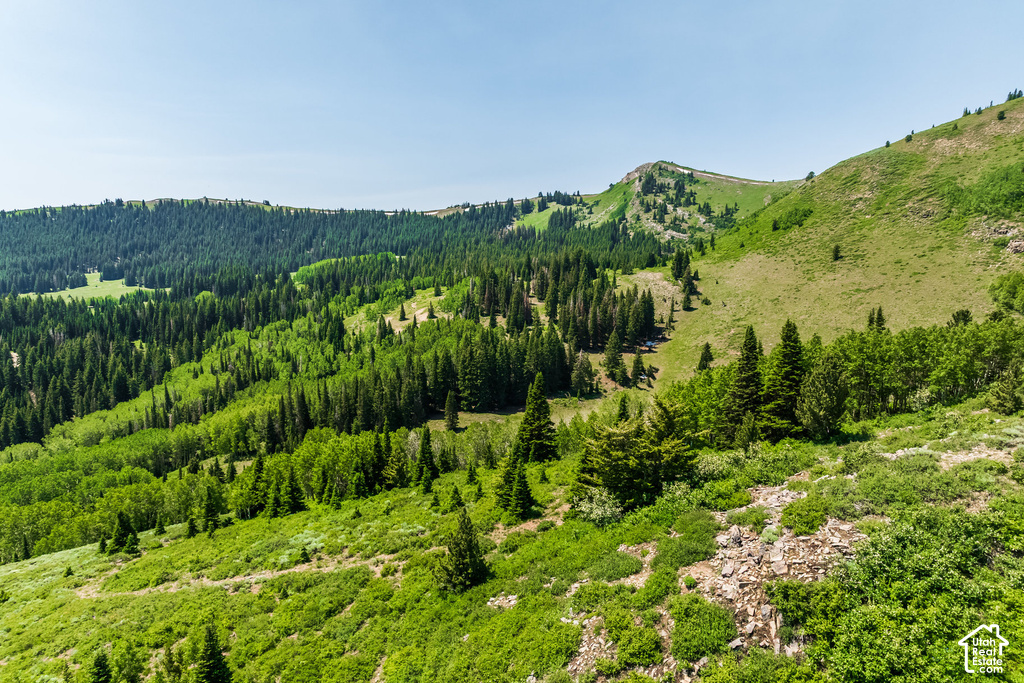 Expansive mountainous terrain featuring dense evergreen forests and verdant hillsides under a clear sky