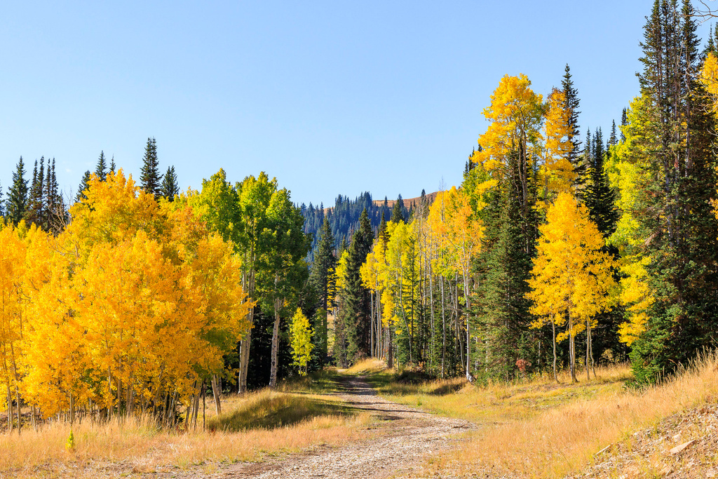 325  WHITE PINE CANYON RD Park City, UT 84060