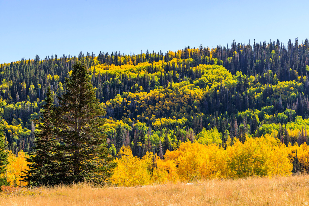 325  WHITE PINE CANYON RD Park City, UT 84060