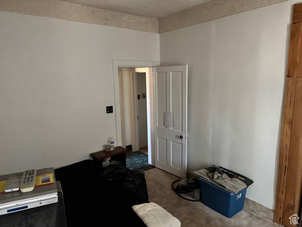 Living area featuring carpet floors and a textured ceiling